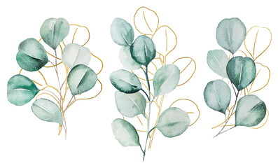 Green and Golden watercolor eucalyptus botanical leaves illustration - obrazy, fototapety, plakaty