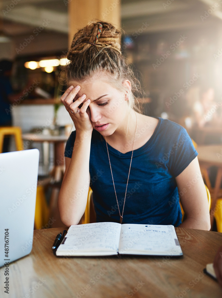 Poster theres just no shortcut for knowing the material. cropped shot of a young student looking stressed w