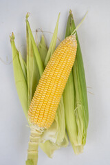 corn on green corn husks. top view