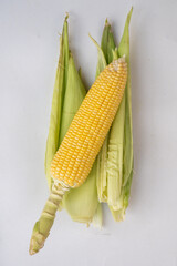 corn on green corn husks. top view