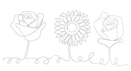 flowers one line drawing, isolated, vector
