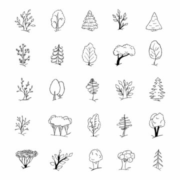hand drawn doodle sketch trees