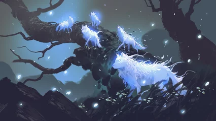 Foto op Plexiglas nachtscène van gloeiende wolven in het donkere bos, digitale kunststijl, illustratie, schilderkunst © grandfailure