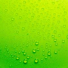 Fototapeta na wymiar Lemon green colorful water drops on light shiny surface