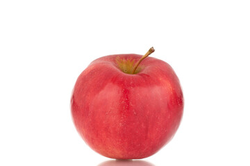 One ripe red apple, macro, isolated on white background.