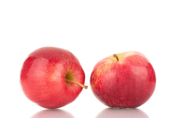Two ripe red apples, macro, isolated on white background.