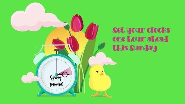 Setting clocks ahead. DST saving time banner animation with tulips, sunset, chick and clouds. Spring forward. Chroma key HD video.