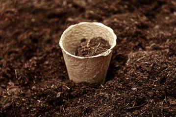 Peat pot for seedlings on the ground background