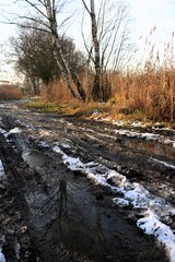 Zimowa droga © Ireneusz