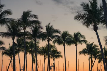 Fototapete palms tropical views sunset beach miami © Cavan