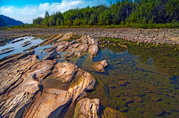 Landscape with a riverain bank, on a sunny day in summer