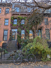 Red brick apartment building wall of brownstone covered by green ivy and plants in Brooklyn, NY