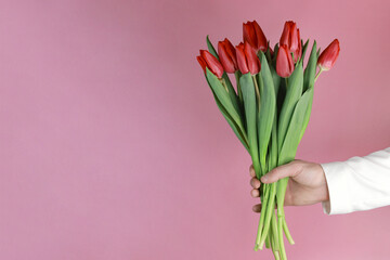 A man's hand holds a bouquet of tulips on a pink background. Space for text. Postcard. Holiday. Women's Day. valentine's day