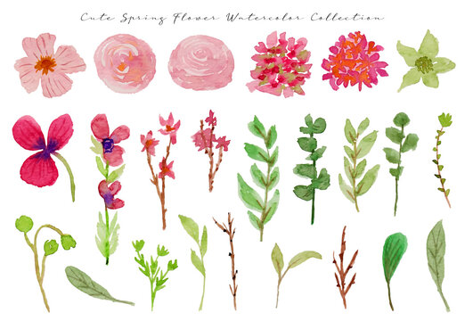 a set of cute pink spring flower and leaf watercolor 