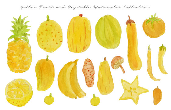 set of cute hand drawn yellow fruit and vegetable watercolor