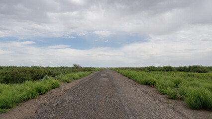 Asphalt road through green fields 