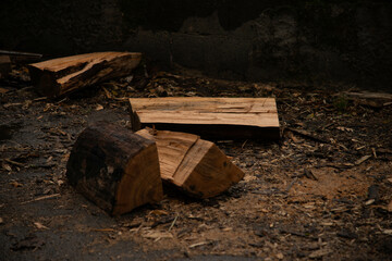 Main shot of two pieces of firewood freshly chopped to make a bonfire