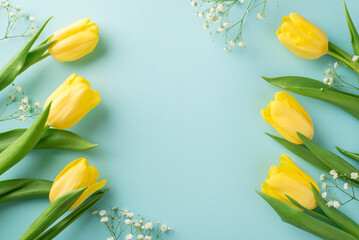 Top view photo of woman's day composition yellow tulips and white gypsophila on isolated pastel...