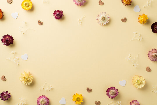 Top view photo of woman's day composition different color field flowers and hearts on isolated beige background with copyspace in the middle