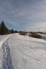 Pylypow Wetlands in the Winter Season