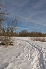 Pylypow Wetlands in the Winter Season