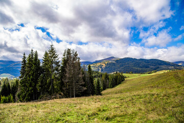 Fototapeta na wymiar hill covered with grass and dreamy forest on a background of mountains and blue sky with clouds. warm summer day. beautiful nature landscape.