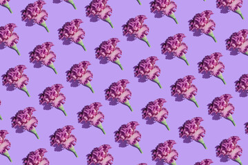Creative pattern made of beautiful iris flowers on pastel violet background. Nature concept. Minimal style. Top view. Flat lay