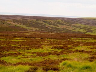Fototapeta na wymiar Moors in the peak district of england