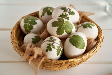 Easter eggs prepared to be dyed with onion peels with a pattern of fresh plants