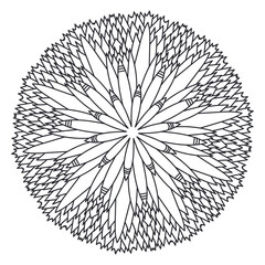 floral circle decor vector background for coloring page