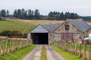 PORTGORDON,MORAY,SCOTLAND - 13 FEBRUARY 2022: This is the road leading to a Farmhouse and its outbuildings in Portgordon, Moray, Scotland on 13 February 2022