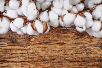 Cotton flowers on wooden  background