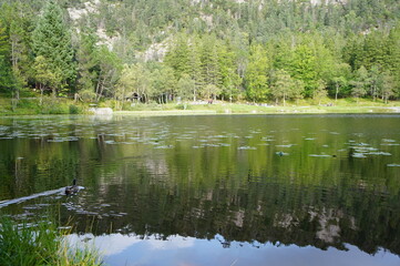 norway noruega  nature fjords slow life 