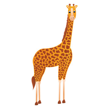 Cartoon giraffe character in childish style, zoo animal isolated on white background, design element for poster or pattern, african savannah fauna, desert