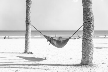 relaxing in a Hammock on the golden sands