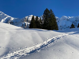 Fototapeta na wymiar Wonderful winter hiking trails and traces on the fresh alpine snow cover of the Swiss Alps, Schwägalp (or Schwaegalp) mountain pass - Canton of Appenzell Ausserrhoden, Switzerland (Schweiz)