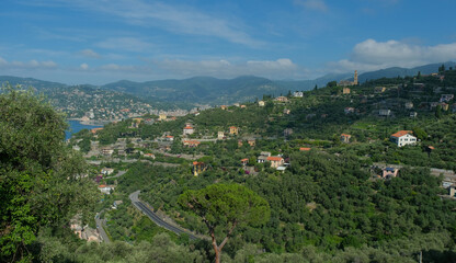 Fototapeta na wymiar Le colline che sovrastano Zoagli in provincia di Genova.