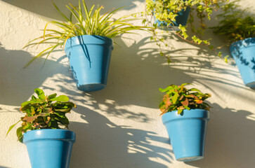 Blue ceramic flowerpots with flowers hanging on the wall, decorating the urban space