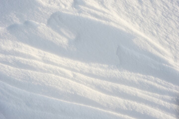 Coarse texture of the snow, accented by a sliding sun light