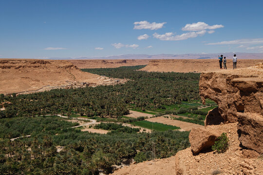 palmeral de Tafilalet, valle del r&iacute;o Ziz, Marruecos, Africa