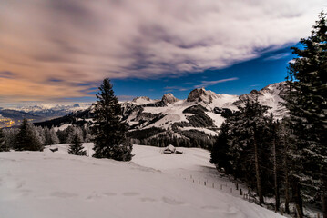 Moonlight and snow landscape