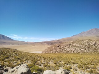 aves, paisajes, salar, nieve, naturaleza, paz, tranquilidad