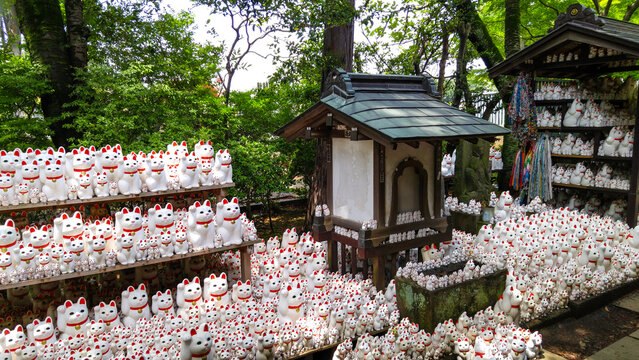 Hundreds of Maneki Neko are adorned along the paths in Gotokuji Temple, Setagaya ward, Japan