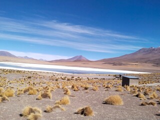 aves, paisajes, salar, nieve, naturaleza, paz, tranquilidad