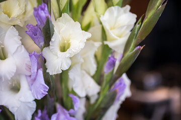 A bouquet of white gladiolus against a white wall. Horizontal frame