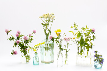 Wild field herbs in bottles of different shapes on a white-gray background as a decoration. Card, Bottle of essential oil with herbs on white background