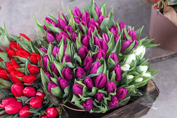 purple and pink tulips in buckets as decoration of the entrance to the store