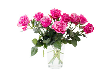 Bouquet of red roses in a tin bucket on a white wall background on a wooden wrecked surface of the bench.
