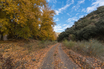 dirt road in the mountains