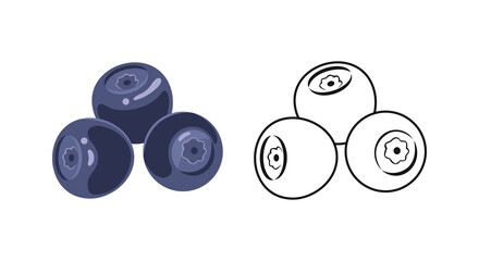Huckleberry color cartoon illustration and outline. Vector fresh  berry fruit . Flat icon.